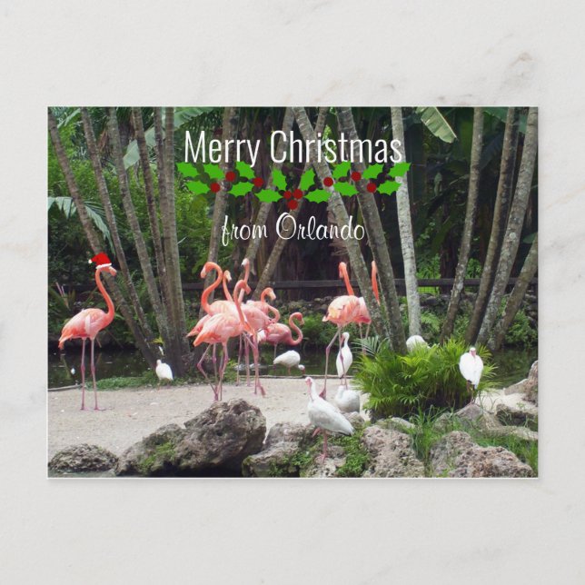 Cartes Pour Fêtes Annuelles Joyeux Noël d'Orlando - Flamants roses roses (Devant)