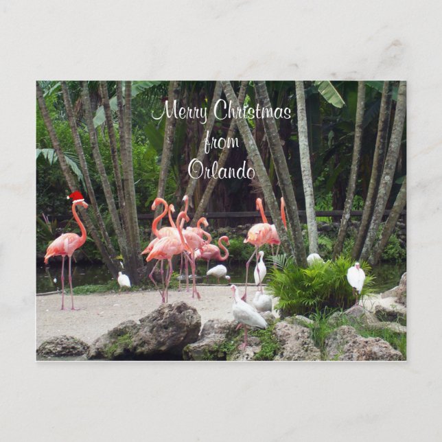 Cartes Pour Fêtes Annuelles Joyeux Noël d'Orlando - Flamants roses roses, (Devant)