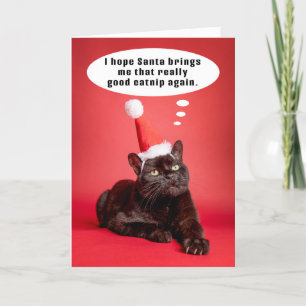 Cartes Pour Fêtes Annuelles Joyeux Noël Drôle Chat Penser de l'Humour de captu