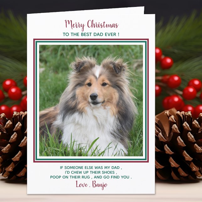 Cartes Pour Fêtes Annuelles Joyeux Noël Drôle Meilleur Chien Papa Jamais Chien (Créateur téléchargé)