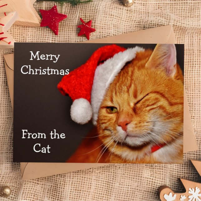 Cartes Pour Fêtes Annuelles Joyeux Noël du chat (Créateur téléchargé)
