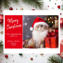 Joyeux Noël du chat au chapeau de Père Noël