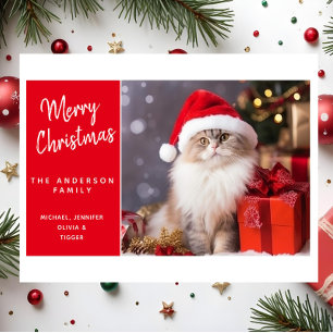Cartes Pour Fêtes Annuelles Joyeux Noël du chat au chapeau de Père Noël