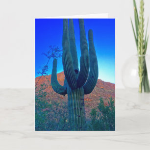 Cartes Pour Fêtes Annuelles Joyeux Noël du Desert Arizona