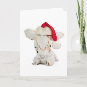 Cartes Pour Fêtes Annuelles Joyeux Noël du lapin