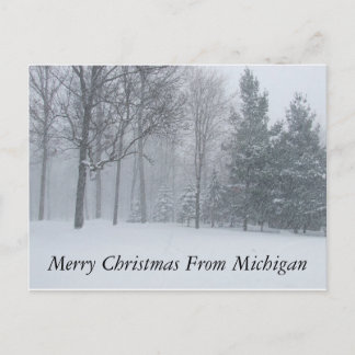 Cartes Pour Fêtes Annuelles Joyeux Noël du Michigan Winter Snow Postca