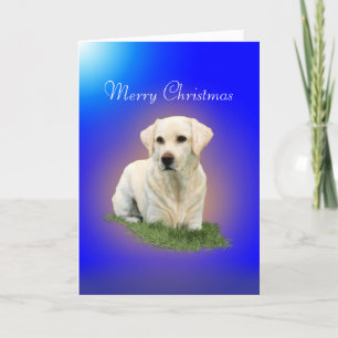 Cartes Pour Fêtes Annuelles Joyeux Noël d'un Labrador blanc