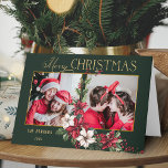Cartes Pour Fêtes Annuelles Joyeux Noël en 2 photos colorées Poinsettias<br><div class="desc">Design festif et coloré de vacances avec un deux modèle photo avec personnage or joyeux graphisme de Noël avec un spray de poinsettias de Noël traditionnel et saint sur un arrière - plan vert.</div>