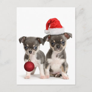 Cartes Pour Fêtes Annuelles Joyeux Noël Et Bonne Année