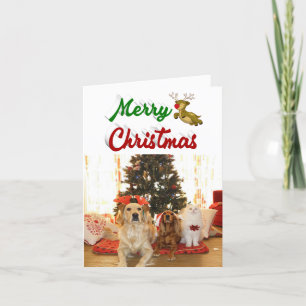 Cartes Pour Fêtes Annuelles Joyeux Noël Flying Reindeer script photo