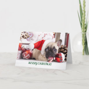 Cartes Pour Fêtes Annuelles Joyeux Noël French Bull