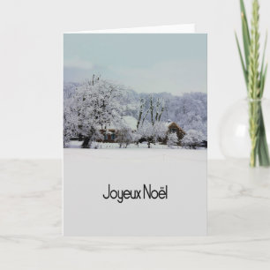 Cartes Pour Fêtes Annuelles Joyeux Noël French Christmas card