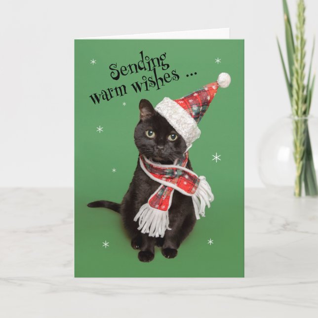 Cartes Pour Fêtes Annuelles Joyeux Noël Funny Chat en Casquette et Écharpe (Devant)