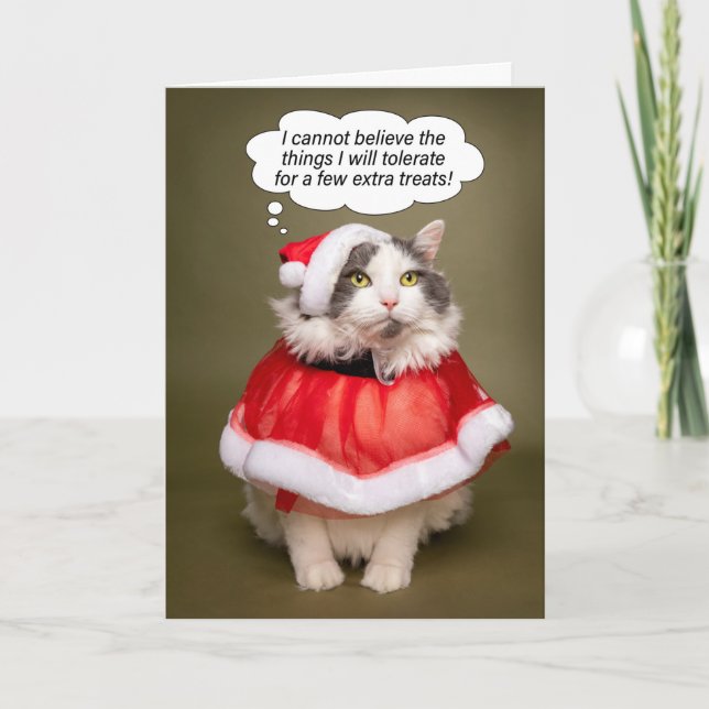 Cartes Pour Fêtes Annuelles Joyeux Noël Funny Chat habillé en Père Noël (Devant)