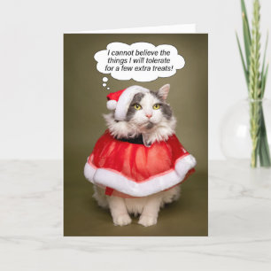 Cartes Pour Fêtes Annuelles Joyeux Noël Funny Chat habillé en Père Noël