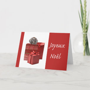 Cartes Pour Fêtes Annuelles Joyeux Noël german shorthaired pointer puppy