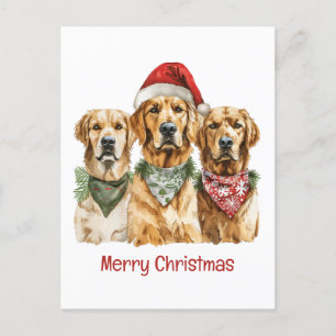 Cartes Pour Fêtes Annuelles Joyeux Noël Golden Retriever Dogs