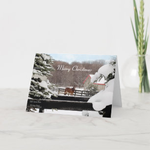 Cartes Pour Fêtes Annuelles Joyeux Noël - Hivernal Horse Ranch