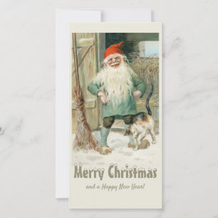 Cartes Pour Fêtes Annuelles Joyeux Noël Jenny Nyström Tomte et chat CC1191