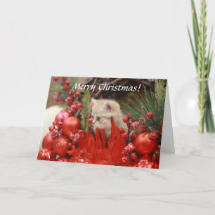 Cartes Pour Fêtes Annuelles Joyeux Noël Kitty Personnalisez votre salut Ho