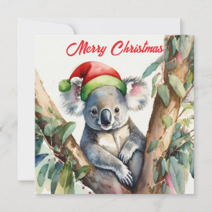 Cartes Pour Fêtes Annuelles Joyeux Noël Koala assis dans un Eucalyptus