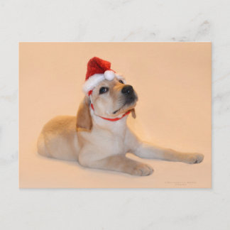 Cartes Pour Fêtes Annuelles Joyeux Noël - Laboratoire Jaune