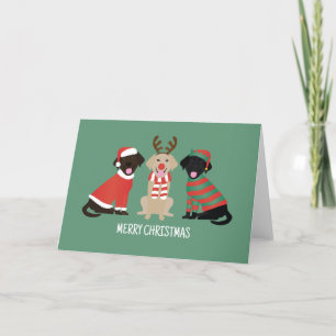 Cartes Pour Fêtes Annuelles Joyeux Noël Labrador Retriever Dogs