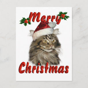 Cartes Pour Fêtes Annuelles Joyeux Noël Maine Coon Cat