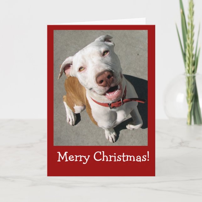 Cartes Pour Fêtes Annuelles Joyeux Noël Meilleur Freind (Devant)