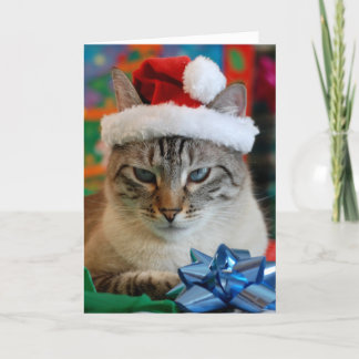 Cartes Pour Fêtes Annuelles Joyeux Noël (même si vous êtes coquin)