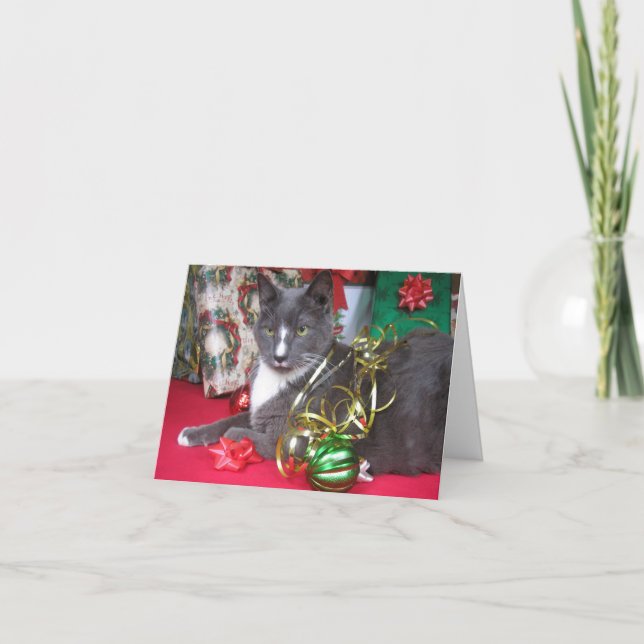 Cartes Pour Fêtes Annuelles "Joyeux Noël Meowy !" (Devant)