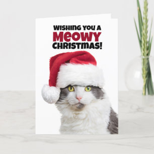Cartes Pour Fêtes Annuelles Joyeux Noël Meowy et fêtrement de la nouvelle anné