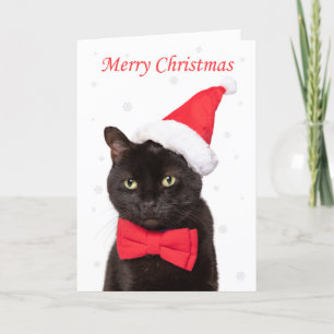 Cartes Pour Fêtes Annuelles Joyeux Noël mignonne Chat à Santa Hat et la Cravat