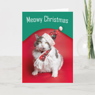 Cartes Pour Fêtes Annuelles Joyeux Noël mignonne Chat en Casquette de vacances