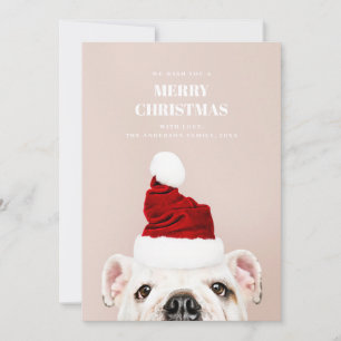 Cartes Pour Fêtes Annuelles Joyeux Noël. Mignonne chien. Père Noël animal