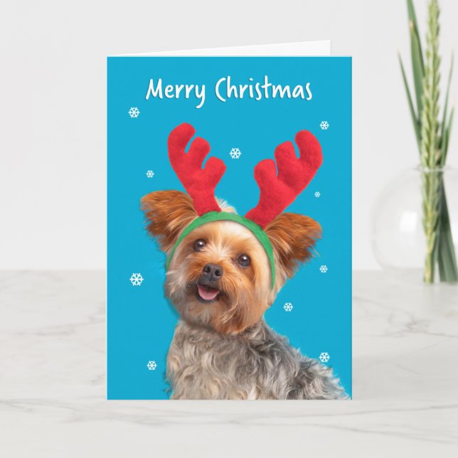 Cartes Pour Fêtes Annuelles Joyeux Noël mignonne Yorkie Chien dans les oreille (Devant)