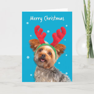 Cartes Pour Fêtes Annuelles Joyeux Noël mignonne Yorkie Chien dans les oreille