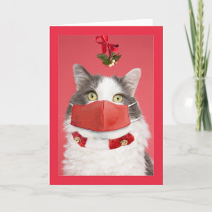 Cartes Pour Fêtes Annuelles Joyeux Noël Mistletoe Chat en Masque Visage Humour