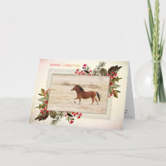 Cartes Pour Fêtes Annuelles Joyeux Noël Mustang