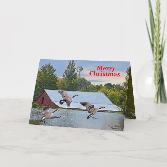 Cartes Pour Fêtes Annuelles Joyeux Noël Oies Du Canada Atterrissant Sur L'Étan (Devant)