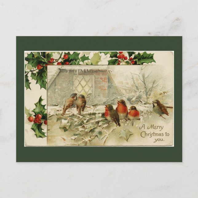 Cartes Pour Fêtes Annuelles Joyeux Noël Oiseaux (Devant)