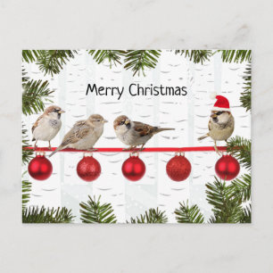 Cartes Pour Fêtes Annuelles Joyeux Noël Oiseaux sur une Branche