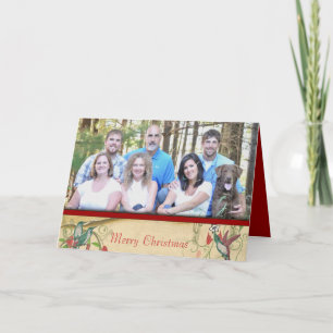 Cartes Pour Fêtes Annuelles Joyeux Noël Oiseaux Vintage Photo de Votre Famille