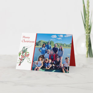 Cartes Pour Fêtes Annuelles Joyeux Noël Oiseaux Vintages Votre famille Photo