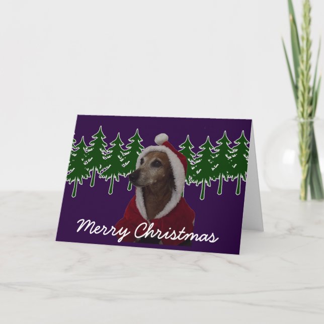Cartes Pour Fêtes Annuelles Joyeux Noël Père Noël Dachsund (Devant)