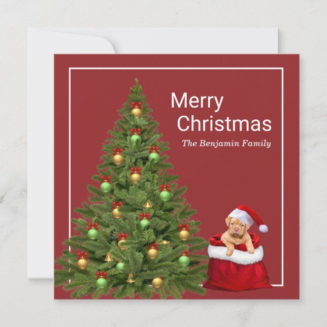 Cartes Pour Fêtes Annuelles Joyeux Noël Père Noël Fun Chien Personnaliser (Devant)