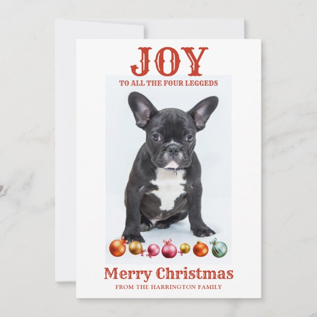 Cartes Pour Fêtes Annuelles Joyeux Noël Personnalisé De Chien À Quatre Légende (Devant)