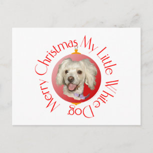 Cartes Pour Fêtes Annuelles Joyeux Noël Petit Chien Blanc Caniche / Bichon