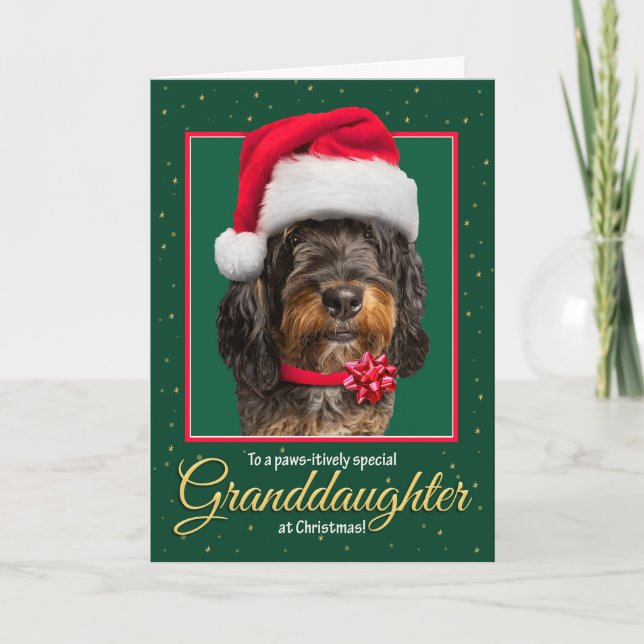 Cartes Pour Fêtes Annuelles Joyeux Noël Petite-fille Bernedoodle Chien (Devant)