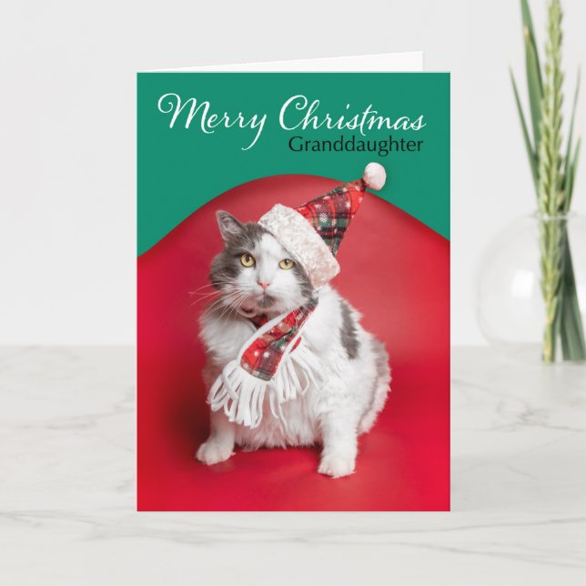 Cartes Pour Fêtes Annuelles Joyeux Noël Petite-fille Chaton mignon avec chapea (Devant)